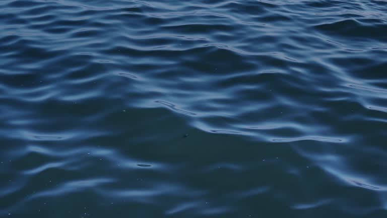 Water Ripple Gif Loop 108,259 Water Ripple Effect Stock Videos, Footage, & 4K Video Clips ...