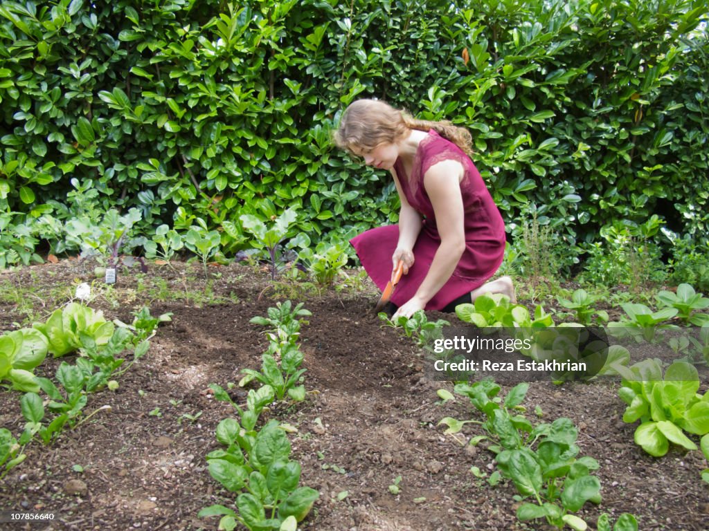 Young women weeds vegetable garden