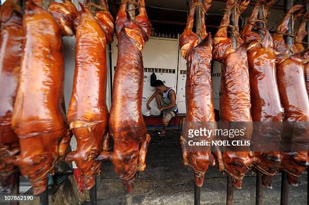 Worker eats his lunch near roasted pigs in Manila on December 23, 2010 displayed for the busy holiday season. "Lechon", or roasted pig, has always...