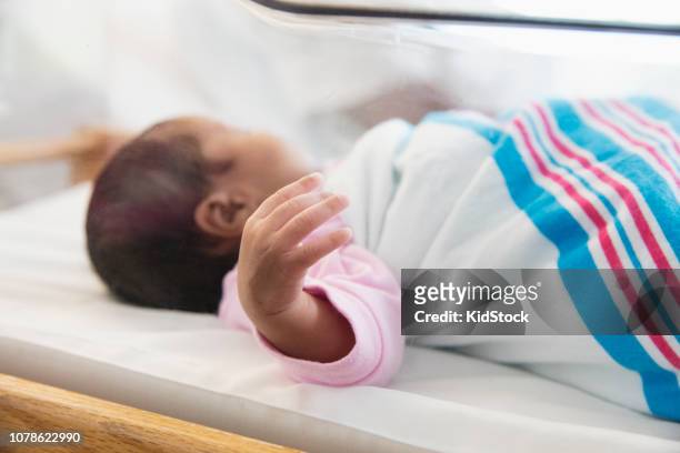 newborn baby sleeping in crib - kidstock girl stock pictures, royalty-free photos & images