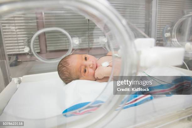 mixed race baby in intensive care unit - black premature babies stock pictures, royalty-free photos & images