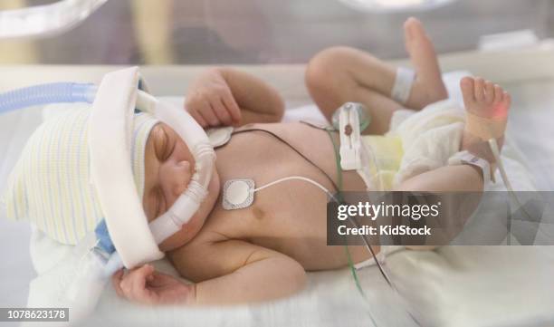 premature baby in intensive care unit - black premature babies stock pictures, royalty-free photos & images