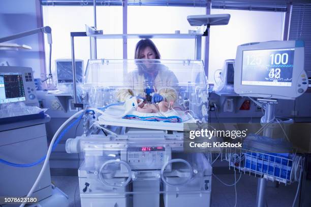 female doctor assisting baby in intensive care unit - black premature babies stock pictures, royalty-free photos & images