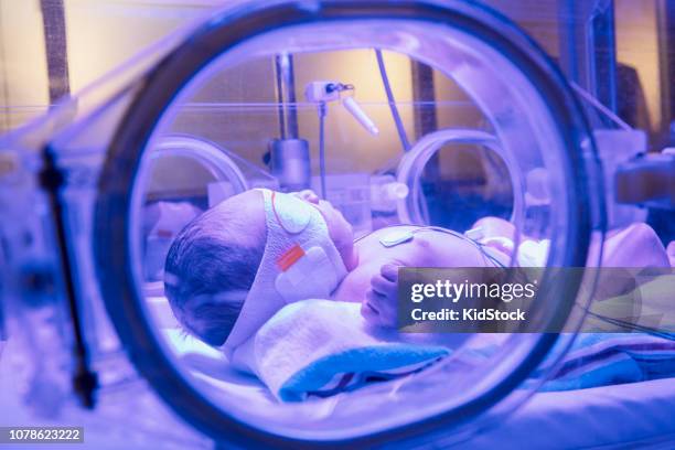 premature baby in intensive care unit - black premature babies stock pictures, royalty-free photos & images