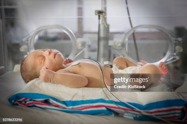 premature baby in intensive care unit - black premature babies stock pictures, royalty-free photos & images