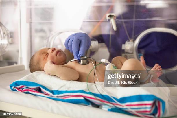 mixed race baby in intensive care unit - black premature babies stock pictures, royalty-free photos & images