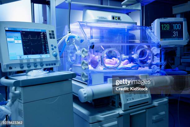 premature baby in intensive care unit - black premature babies stock pictures, royalty-free photos & images