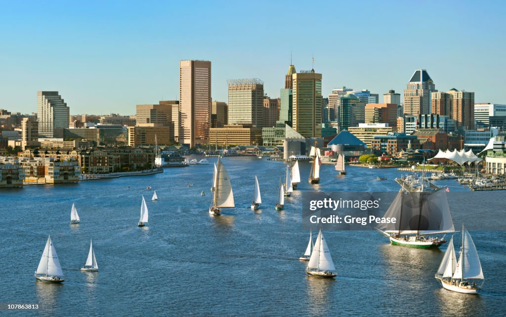 Baltimore City Skyline with The Parade of Sail