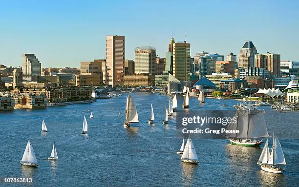 baltimore city skyline with the parade of sail - chesapeake bay stockfoto's en -beelden