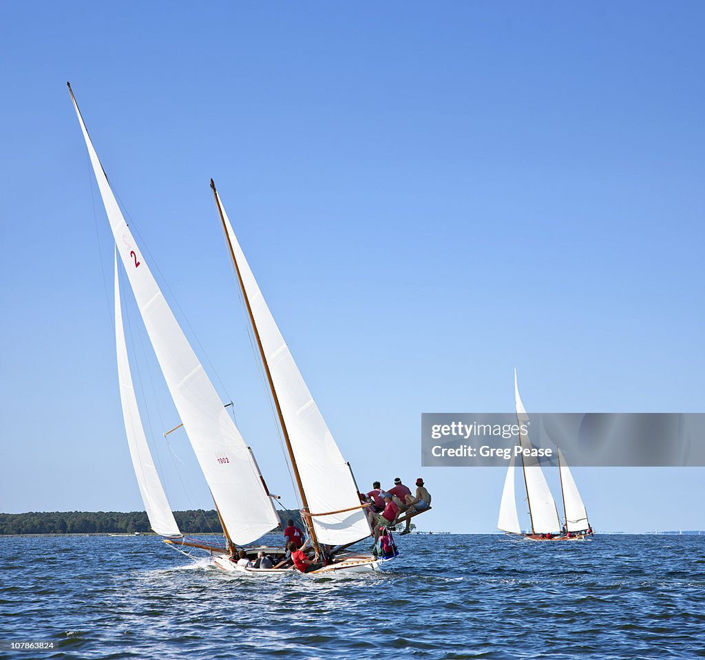 Log Canoe Sailing Regatta