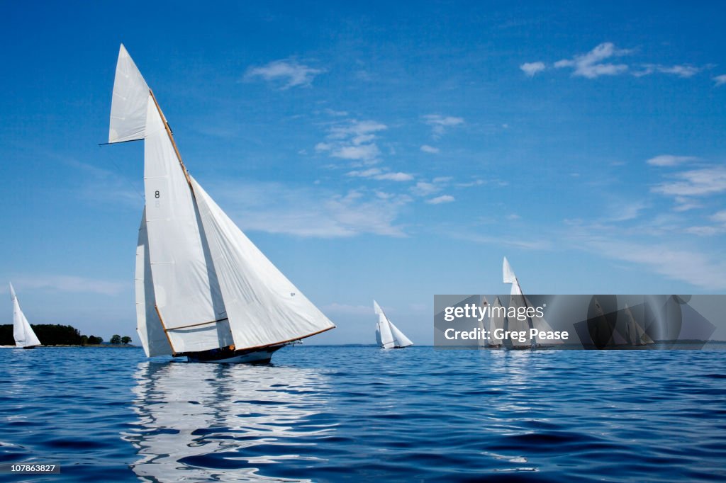 Log Canoe Sailing Regatta