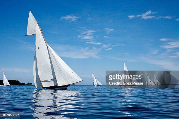 log canoe sailing regatta - baltimore maryland stock-fotos und bilder