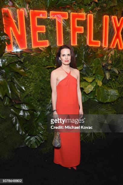 Elizabeth Reaser attends the Netflix 2019 Golden Globes After Party on January 6, 2019 in Los Angeles, California.