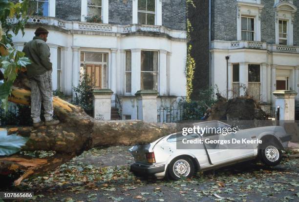 Car crushed by a fallen tree in England, in the aftermath of the Great Storm of 1987, 17th October 1987.