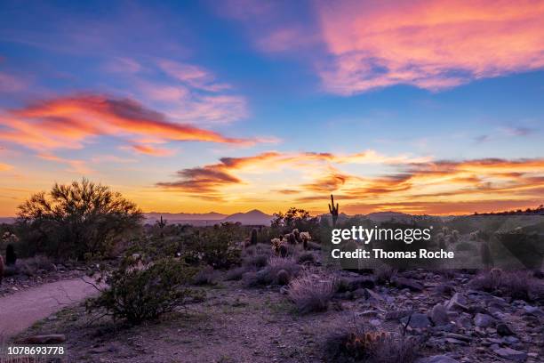 arizona desert sunset - deserto del sonoran foto e immagini stock
