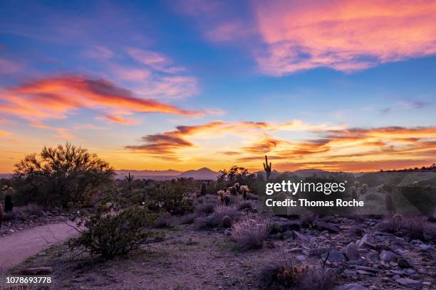 arizona desert sunset - arizona sunset stock pictures, royalty-free photos & images