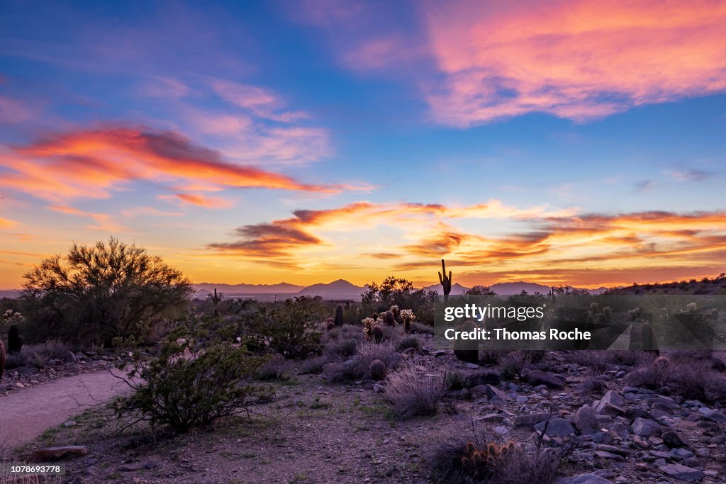 Arizona desert sunset