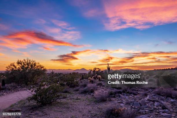 arizona desert sunset - sudoeste - fotografias e filmes do acervo
