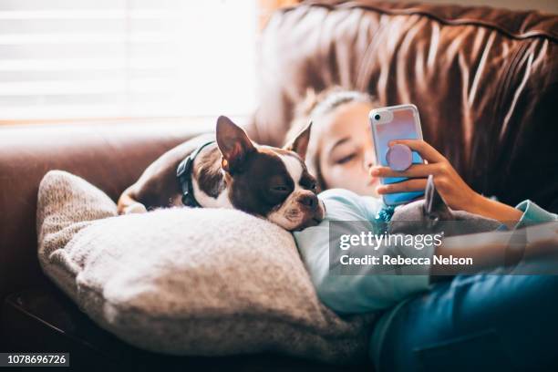 11-year-old girl using her mobile phone while lying on sofa with her dogs - petite teen girl stock-fotos und bilder