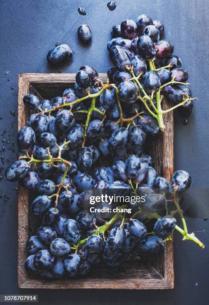 purple-traube - red grapes stock-fotos und bilder