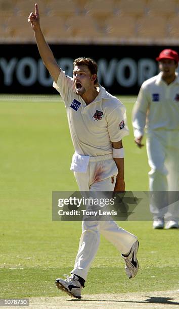 Mark Harrity of South Australia celebrates bowling Mark Higgs for 23 in the match between the South Australian Redbacks and the New South Wales Blues...