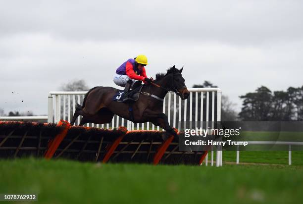 Dashel Dasher ridden by Matt Griffiths jumps the last on their way to winning the interbet.com Happy New Year Novices Hurdle at Chepstow Racecourse...