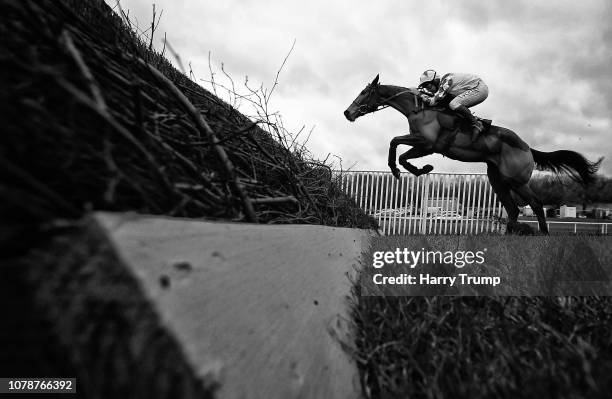 Runners take a flight during the interbet.com At Betting Sites bettingsites.ltd.uk Handicap Chase at Chepstow Racecourse on January 7, 2019 in...