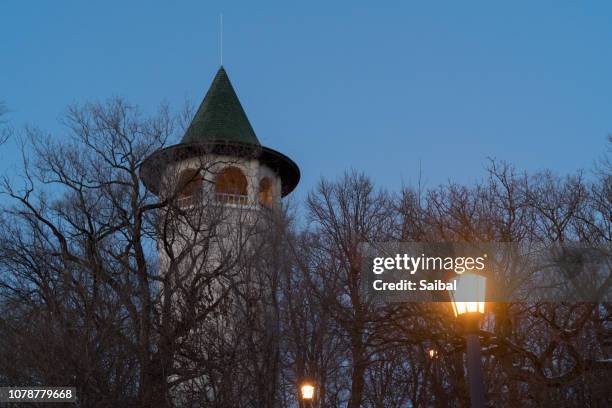 tower hill park witch tower - minneapolis winter stock pictures, royalty-free photos & images