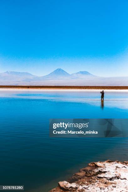 man playing inside a beautiful lake of the chilean landscape in the atacama desert. - atacama desert stock pictures, royalty-free photos & images