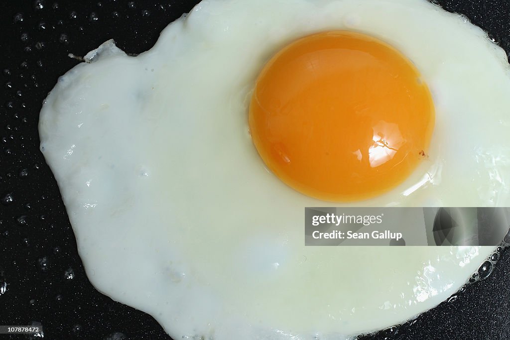 Poultry and Hog Farms Face Possible Dioxin Contamination