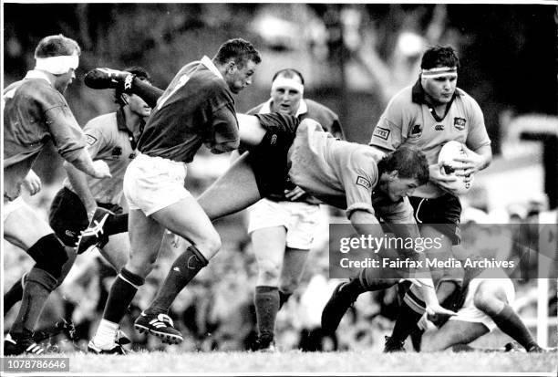 Tim Gavin 29 Gavin Mckenzie Photos & High Res Pictures - Getty Images
