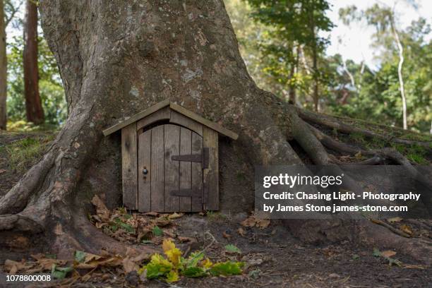secret door in a tree in the forest - confidential palabra en inglés fotografías e imágenes de stock
