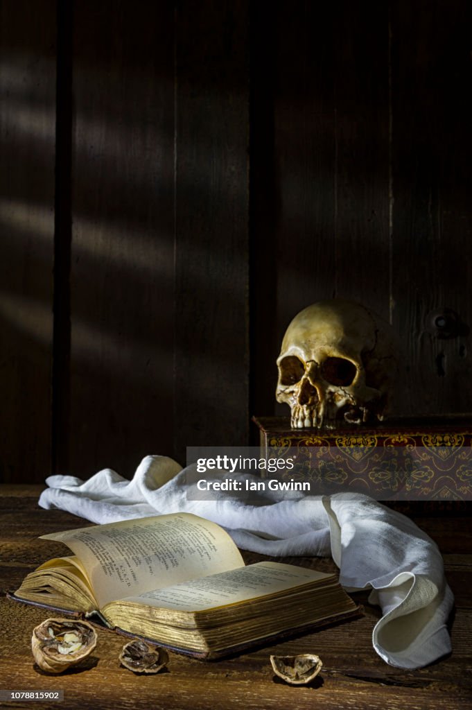 Book and Skull Vanitas