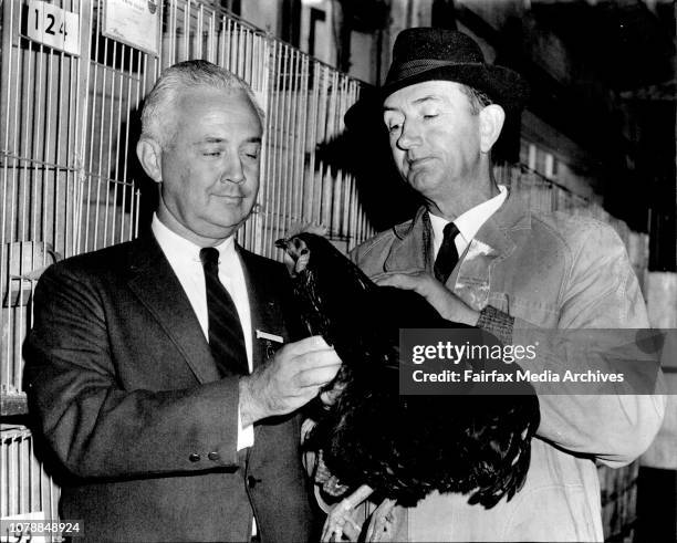 Chicken Judge Poultry Science Association Photos and Premium High Res Pictures ...