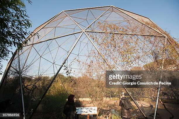 General view of the aviary during the celebration of the 100th anniversary of the Bioparco, on January 5, 2011 in Rome, Italy. The zoo was built in...