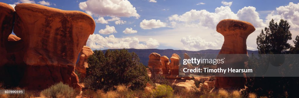 Hoodoos with mountains and sky beyond