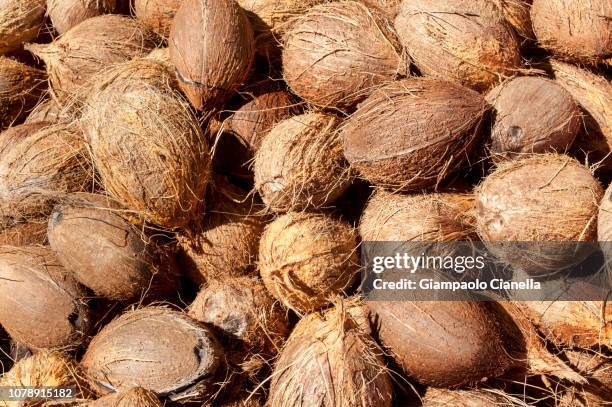 Coco Nut Texture Coco Texture Photos and Premium High Res Pictures - Getty Images