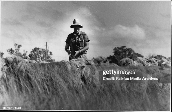 Farmer problems at Gulgong, NSW.Ron Rayner, on his farm. February 13 ...