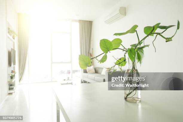 apartment indoors - clean wood table stock-fotos und bilder