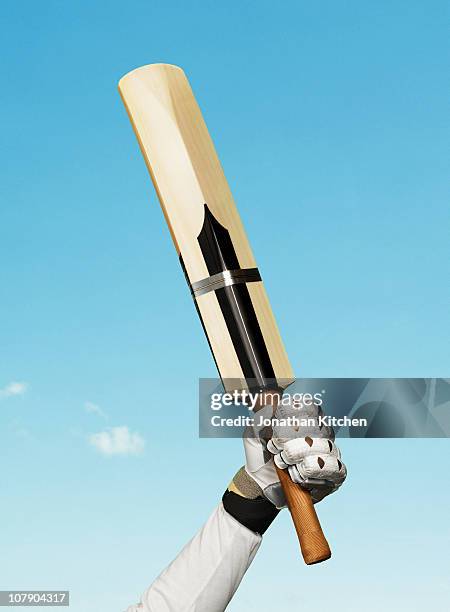 cricket bat held up in victory - cricket bat stock-fotos und bilder