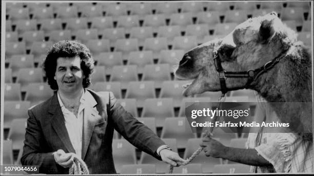 Football Raffa Giuseppe Raffa Photos and Premium High Res Pictures - Getty Images