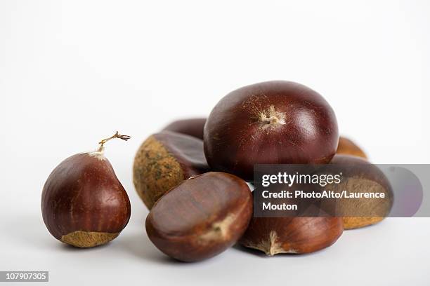 chestnuts - chestnut stock pictures, royalty-free photos & images