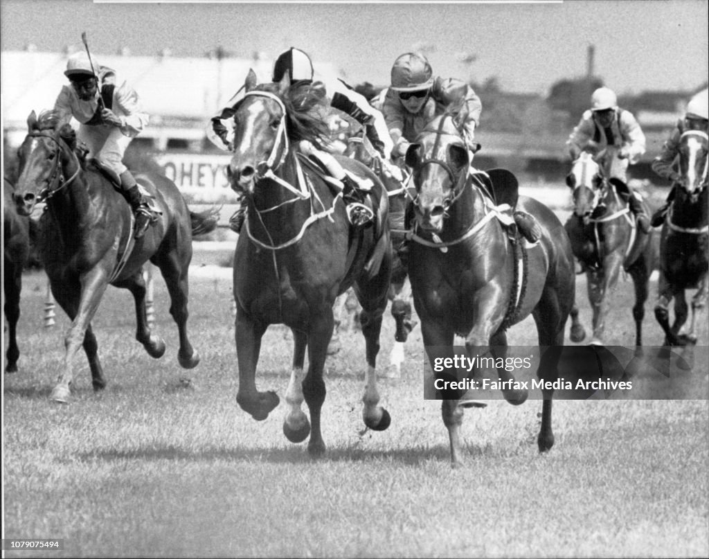 Rosehill Races Rosehill Races - Race 4.Finish - No 1 'Nosh'.R.T.S. - No 1... News ...