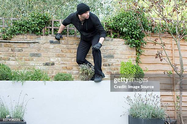 burglar climbing on wall - couvert stock pictures, royalty-free photos & images