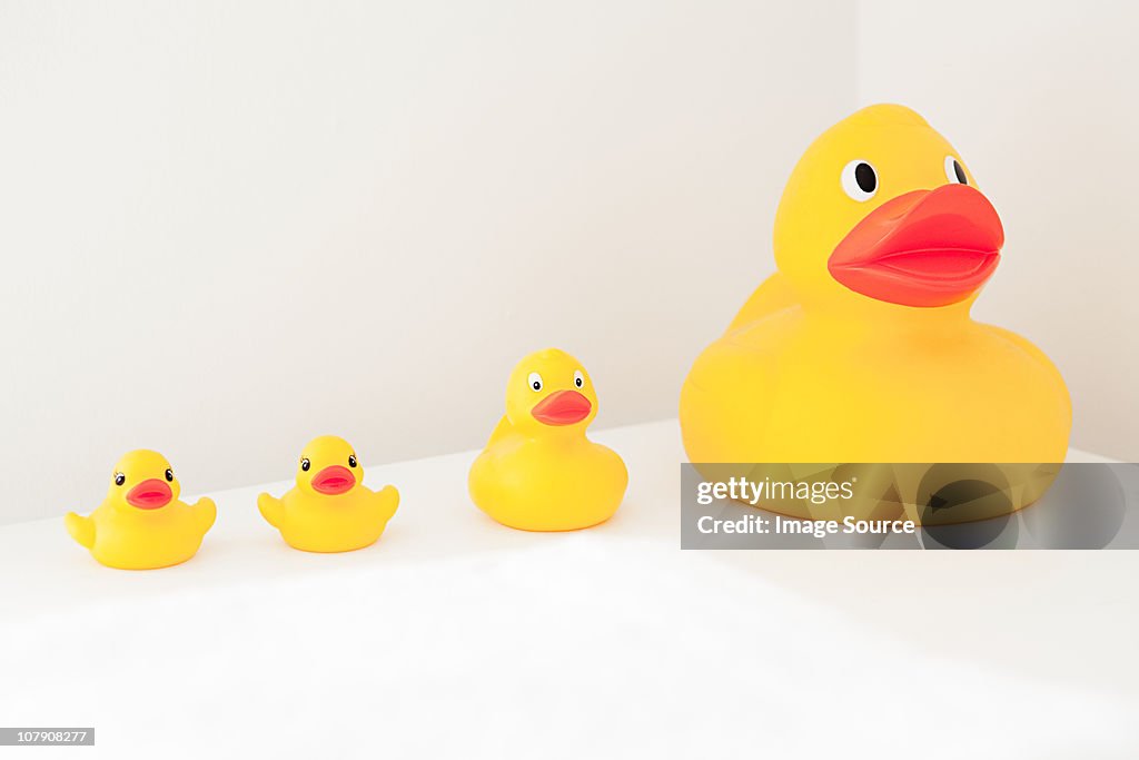Large and small rubber ducks in a row