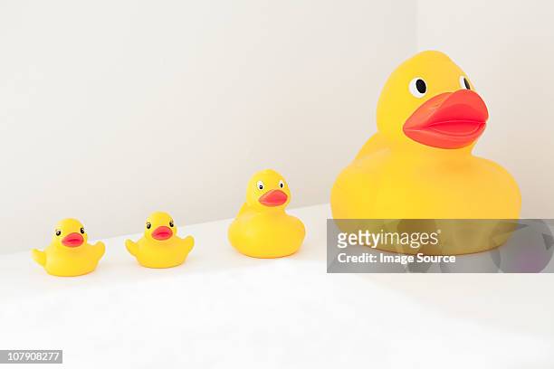 large and small rubber ducks in a row - big small stock pictures, royalty-free photos & images