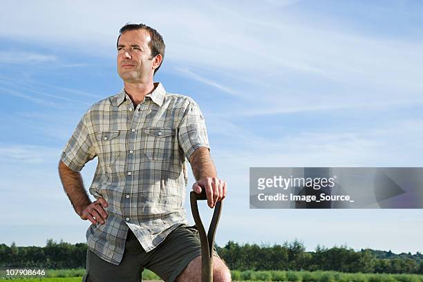 farmer stehen im feld - hand an der hüfte stock-fotos und bilder