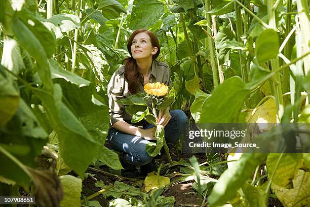 young woman in field - esher stock pictures, royalty-free photos & images