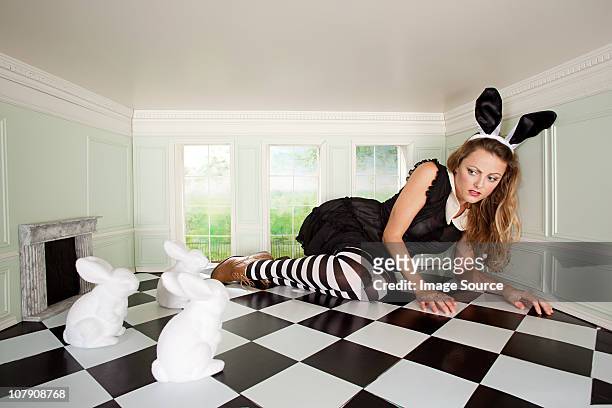 young woman trapped with rabbits in small room - white rabbit stock pictures, royalty-free photos & images
