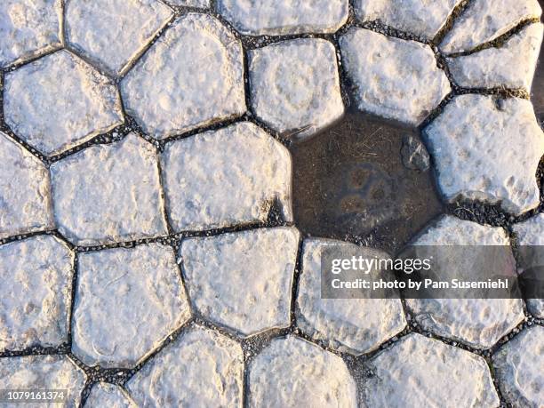 Natural Hexagonal Rocks 1,871 Hexagonal Rocks Stock Photos, High-Res Pictures, and Images ...